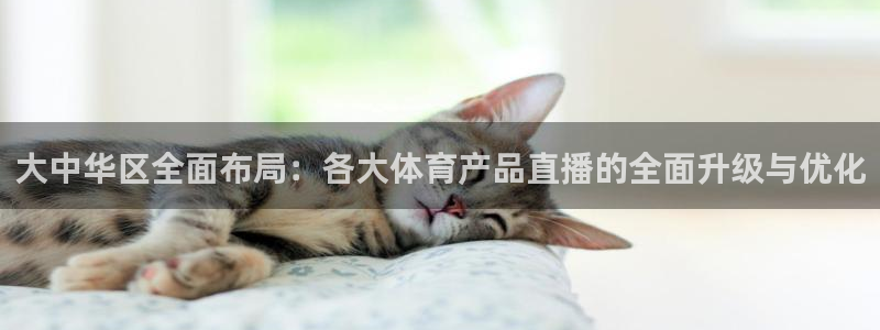 24直播吧nba在线直播：大中华区全面布局：各大体育产品直播的全面升级与优化