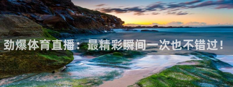 24直播免费篮球直播：劲爆体育直播：最精彩瞬间一次也不错过！