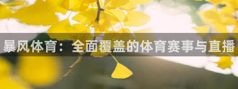 24直播免费足球：暴风体育：全面覆盖的体育赛事与直播